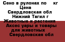 Сено в рулонах по 200кг › Цена ­ 600 - Свердловская обл., Нижний Тагил г. Животные и растения » Аксесcуары и товары для животных   . Свердловская обл.